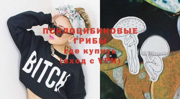 ПСИЛОЦИБИНОВЫЕ ГРИБЫ Алексеевка