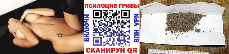 где купить   Черепаново  Галлюциногенные грибы мухоморы 